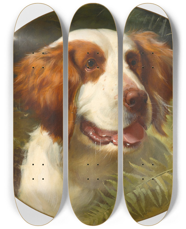 Triptych art skateboard deck of George Earl A Brittany Spaniel by George Earl