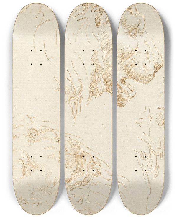Triptych art skateboard deck of Stefano Della Bella Studies Of A Lions Head by Stefano Della Bella (1610-1664)