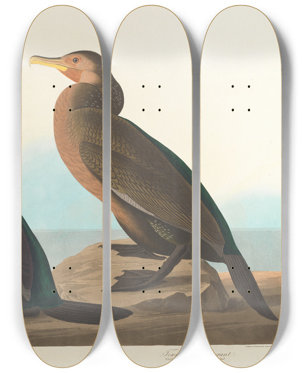 Triptych art skateboard deck of John James Audubon Violetgreen Cormorant by John James Audubon (1785-1851)