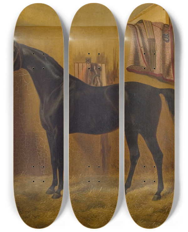 Triptych art skateboard deck of Fritz Thomsen Black Comet by Fritz Thomsen (1819-1891)