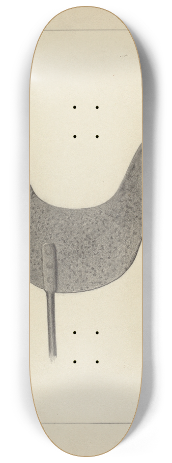 Herman Bader - Weather Vane 8.25 inch art skate deck