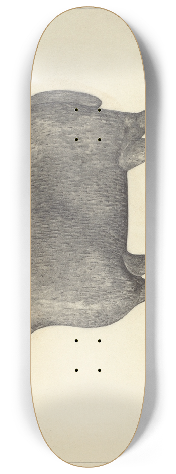 Herman Bader - Weather Vane 8.25 inch art skate deck