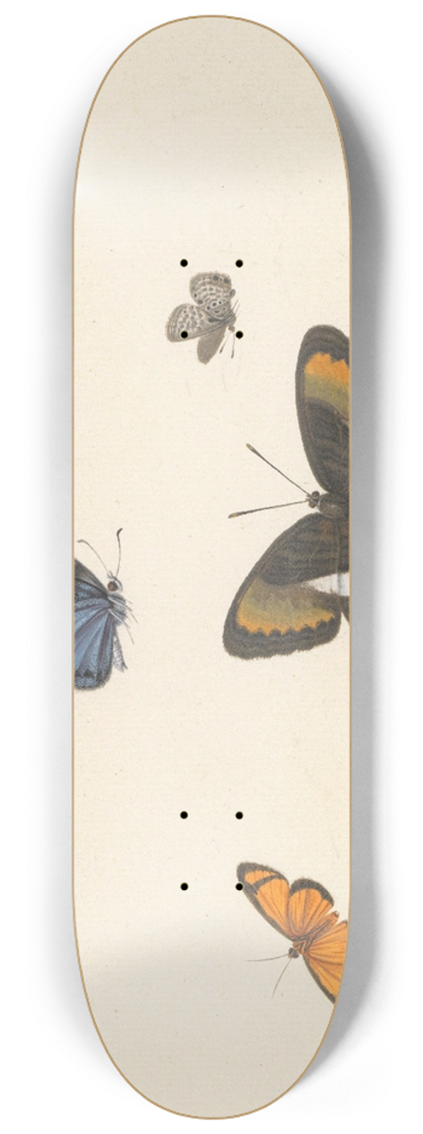 Herman Henstenburgh - Vijf vlinders 8.25 inch art skate deck