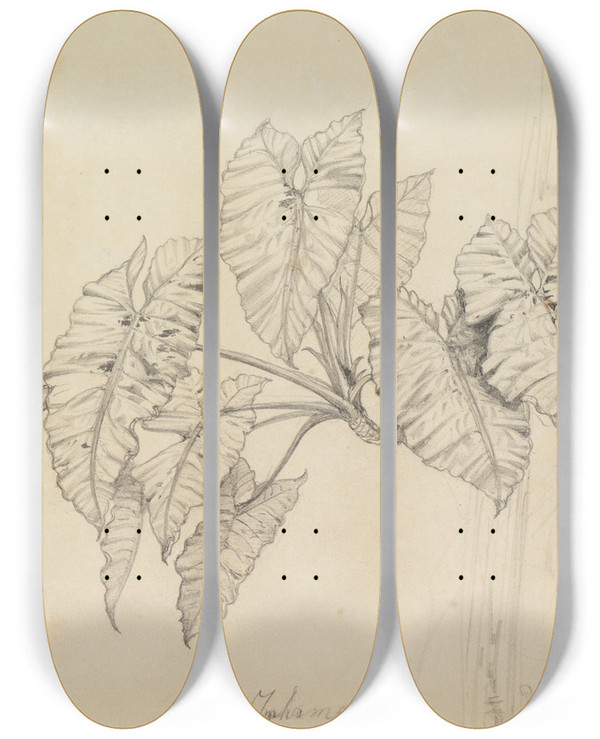 Triptych art skateboard deck of Ferdinand Keller Bltterstudie by Ferdinand Keller (1842-1922)
