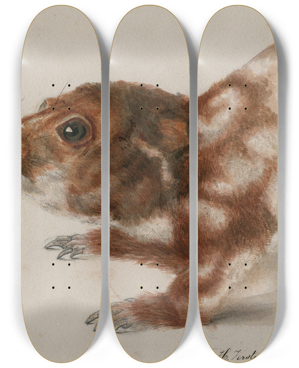 Triptych art skateboard deck of Floris Verster Head Of A Cuscus by Floris Verster (1861-1927)