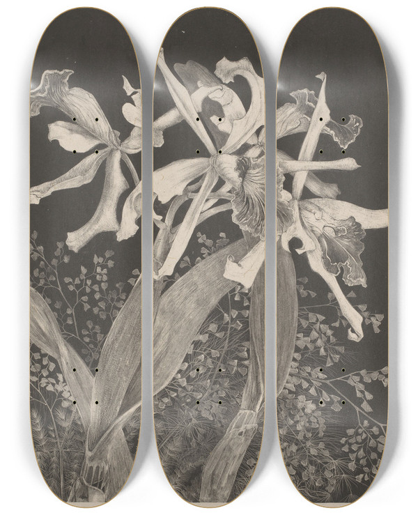 Triptych art skateboard deck of Theo Van Hoytema Orchids by Theo Van Hoytema (1863-1917)