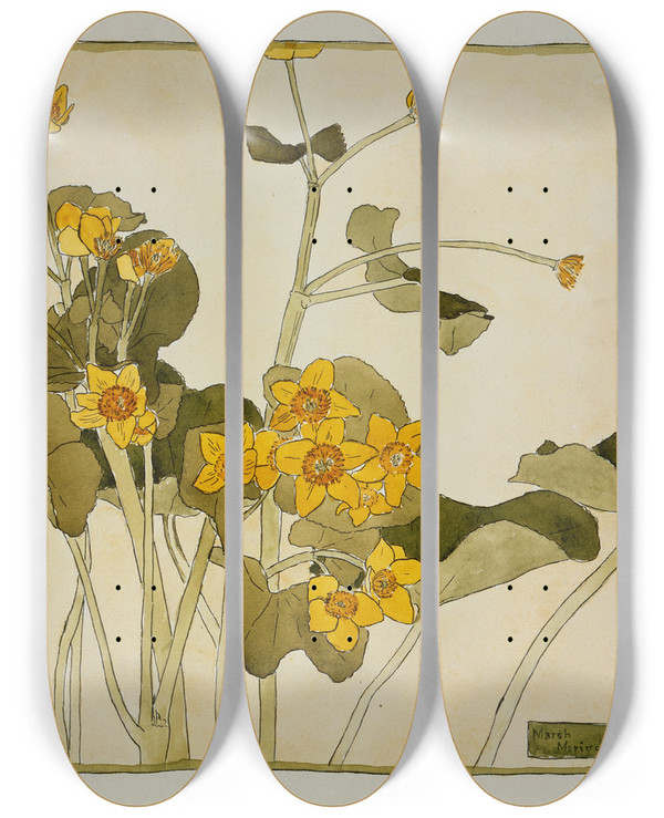 Triptych art skateboard deck of Hannah Borger Overbeck Marsh Marigold by Hannah Borger Overbeck (1870-1931)