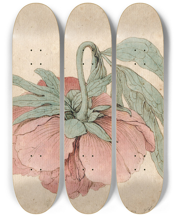 Triptych art skateboard deck of Barend Hendrik Thier Pioenroos by Barend Hendrik Thier (1751-1814)