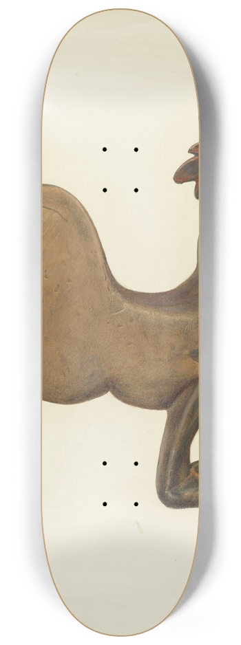 H. Langden Brown - Weather Vane 8.25 inch art skate deck