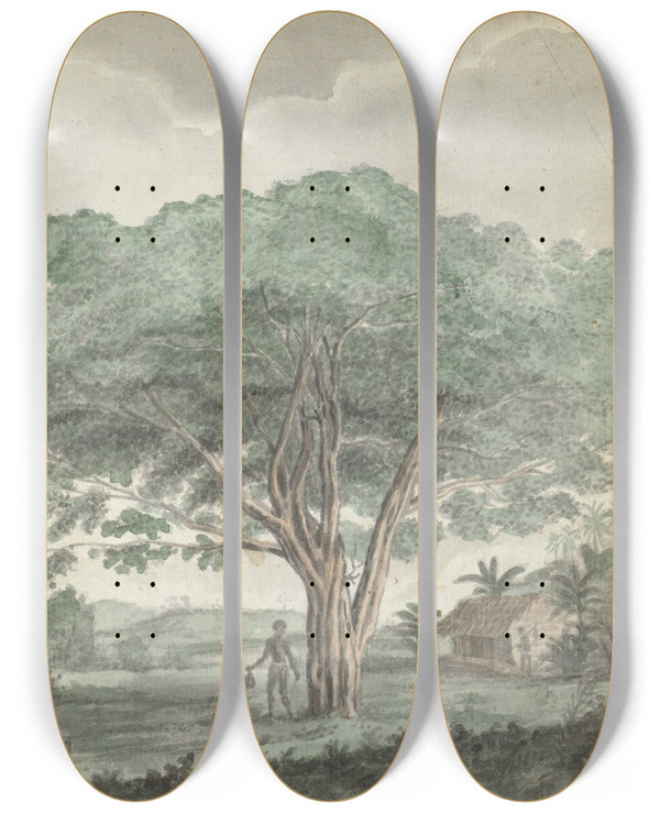 Triptych art skateboard deck of Jan Brandes Boom Op Ceylon by Jan Brandes (1743-1808)