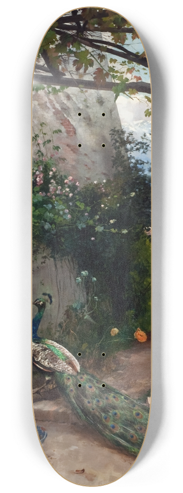 Hugo Birger - Terrace with Peacock, the Alhambra 8.25 inch art skate deck