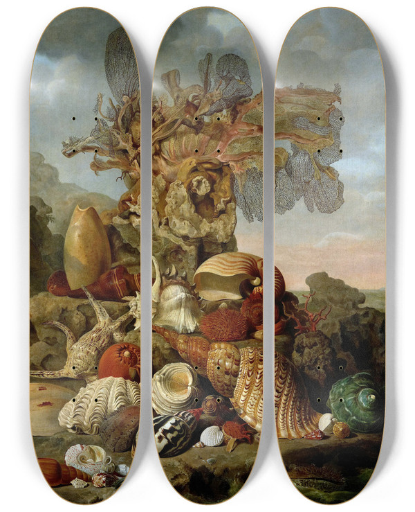 Triptych art skateboard deck of Henricus Franciscus Wiertz Shells And Marine Plants by Henricus Franciscus Wiertz (1784-1858)
