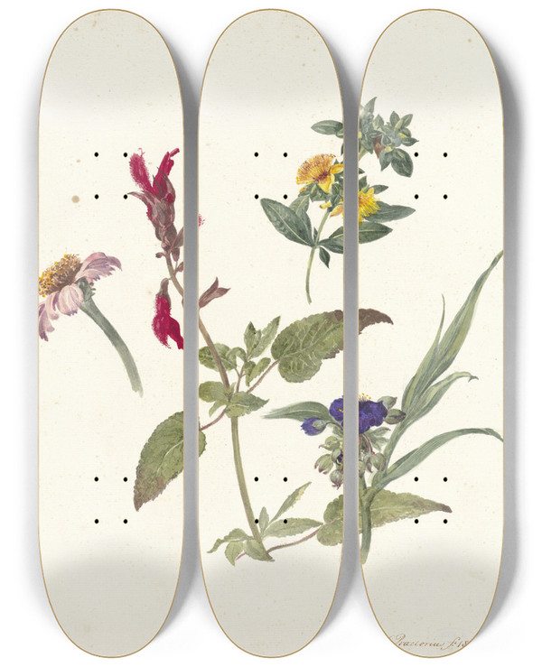 Triptych art skateboard deck of Pieter Ernst Hendrik Praetorius Studies Van Veldbloemen by Pieter Ernst Hendrik Praetorius (1791-1876)