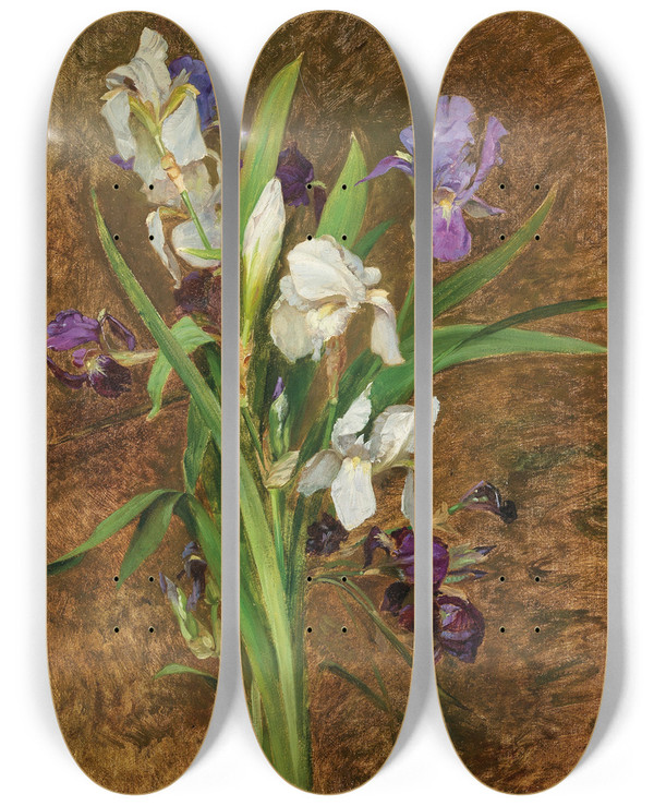 Triptych art skateboard deck of Rudolf Ribarz Irises by Rudolf Ribarz (1848-1904)