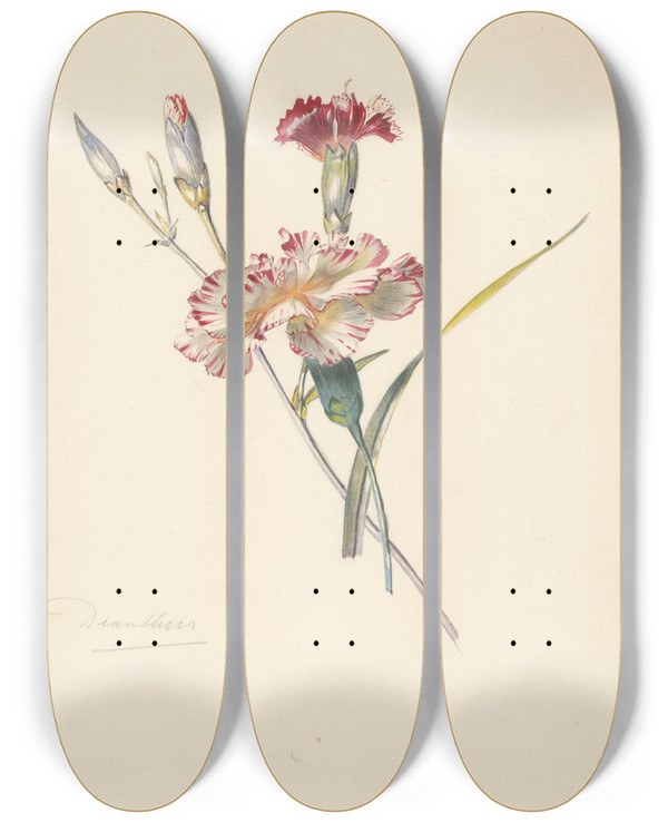 Triptych art skateboard deck of Albertus Steenbergen Studieblad Met Anjers by Albertus Steenbergen (1814-1900)