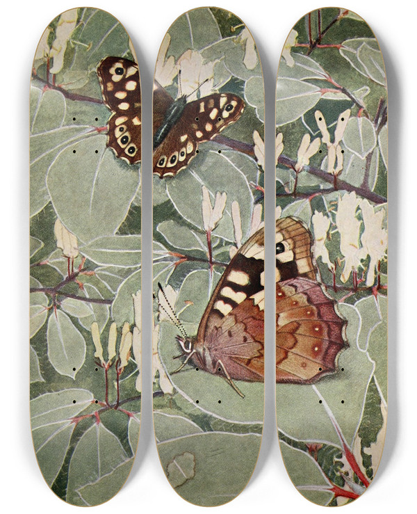 Triptych art skateboard deck of Paulandre Robert Le Tircis by Paul-Andre Robert (1901-1977)