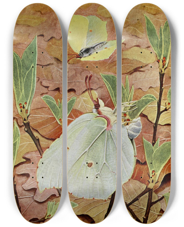 Triptych art skateboard deck of Paulandre Robert Le Citron by Paul-Andre Robert (1901-1977)