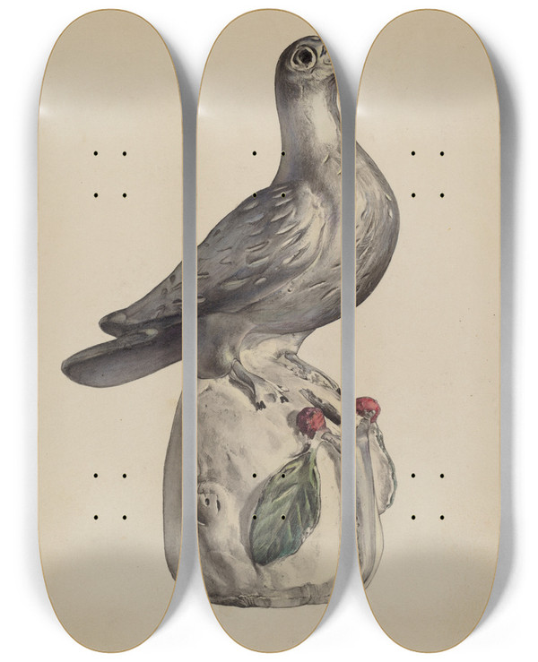 Triptych art skateboard deck of Elisabeth Fulda Bank Dove by Elisabeth Fulda