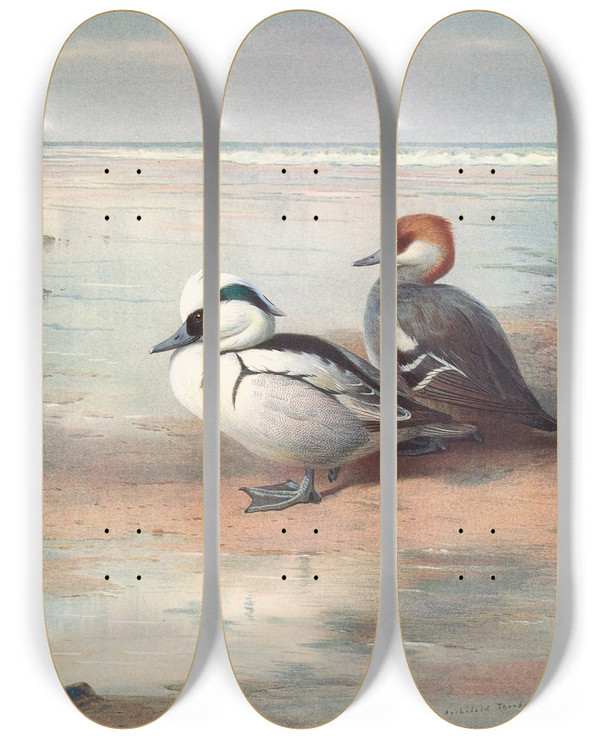Triptych art skateboard deck of Archibald Thorburn Smew by Archibald Thorburn (1860-1935)