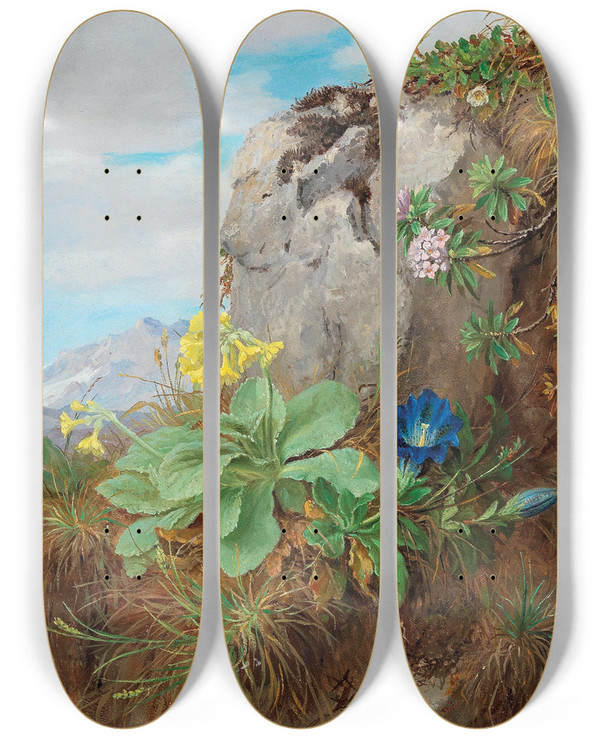 Triptych art skateboard deck of Anna Stainerknittel Alpine Flowers by Anna Stainer-Knittel (1841-1915)