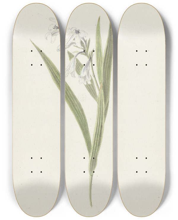 Triptych art skateboard deck of Cornelis Van Noorde Fresia by Cornelis Van Noorde (1731-1795)