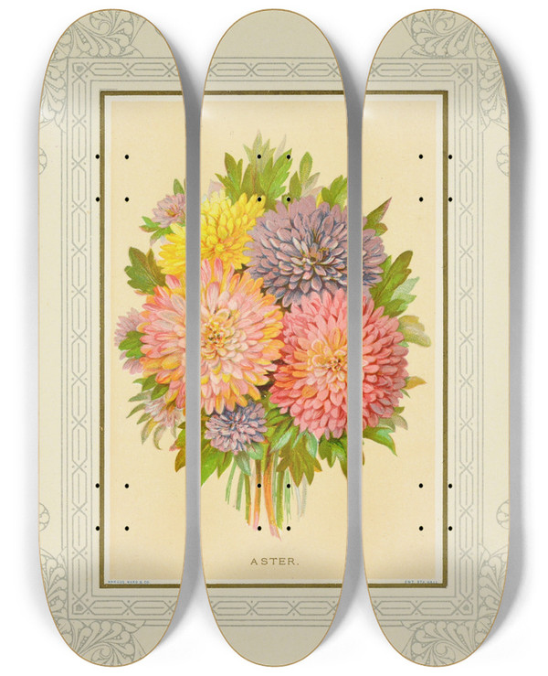 Triptych art skateboard deck of Marcus Ward Co Aster by Marcus Ward Co