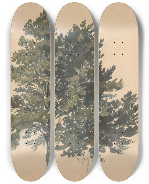 Triptych art skateboard deck of Friedrich Carl Von Scheidlin Study Of A Treetop by Friedrich Carl Von Scheidlin (1822-1913)