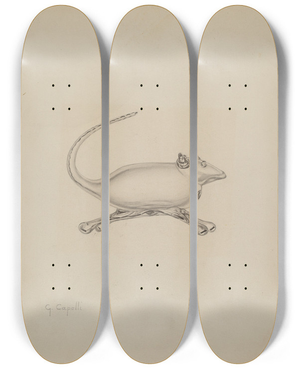 Triptych art skateboard deck of Giacinto Capelli Mouse_2 by Giacinto Capelli (20-)