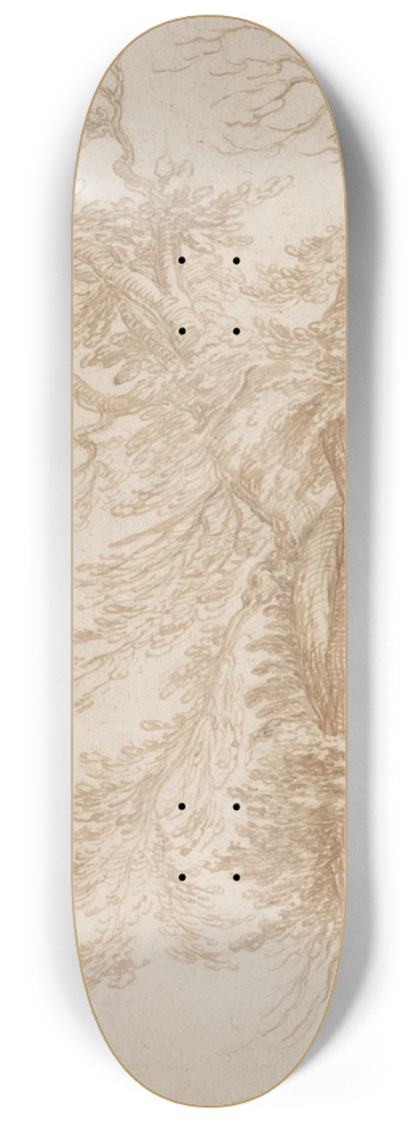 Jacob de Gheyn II - Study of a Tree 8.25 inch art skate deck