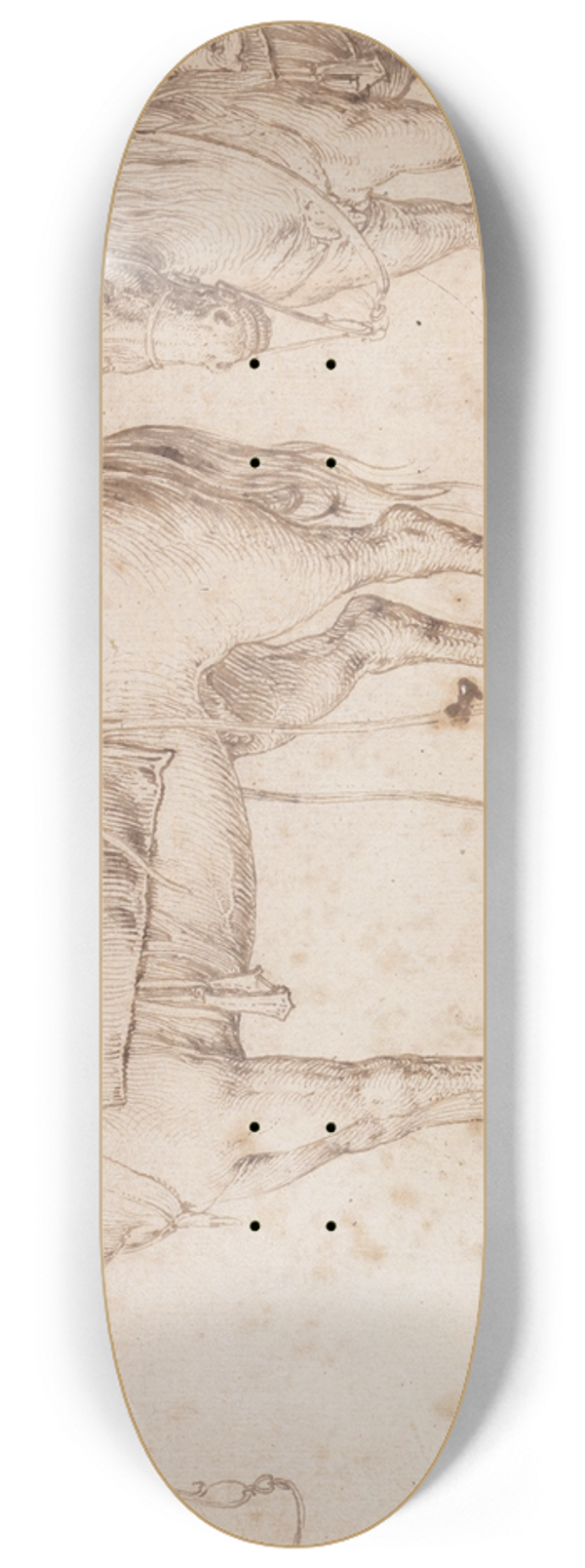 Jacob de Gheyn II - Two studies of a saddled horse and of a horse with a boy astride 8.25 inch art skate deck