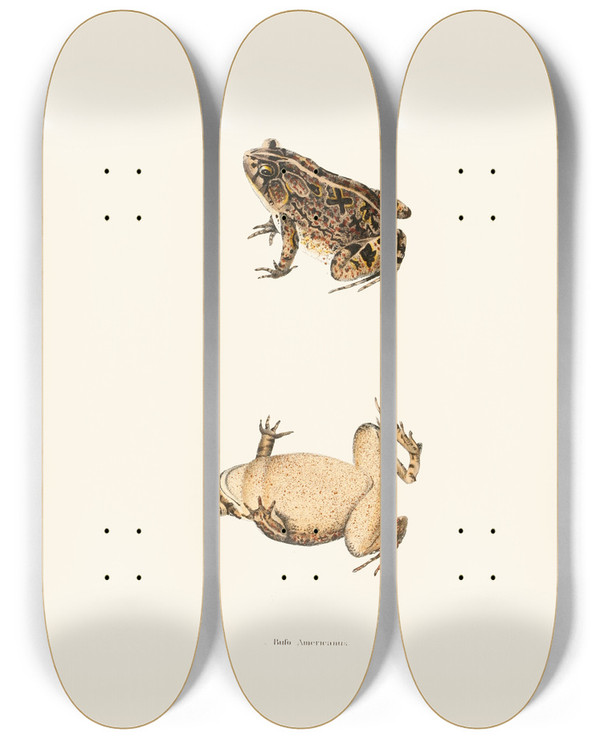 Triptych art skateboard deck of John Edwards Holbrook Bufo Americanus by John Edwards Holbrook (1796-1871)
