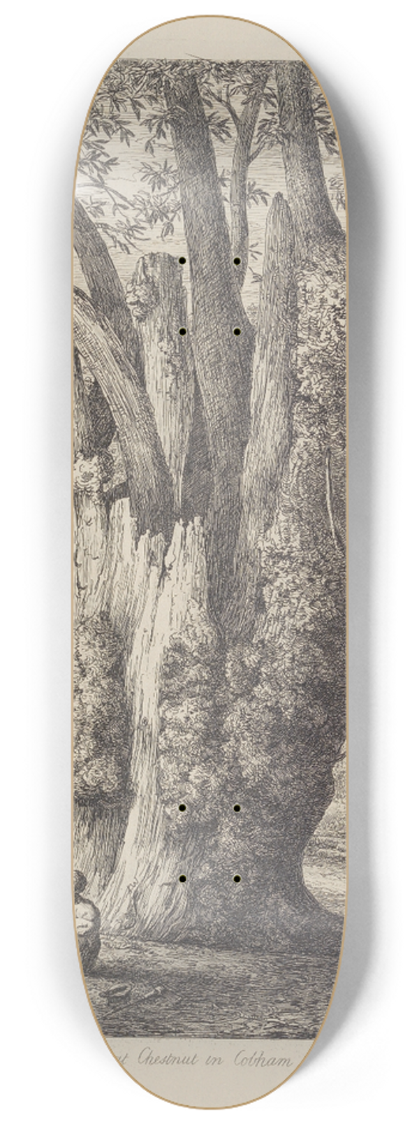 Jacob George Strutt - The Chesnut Tree Called The Four Sisters 8.25 inch art skate deck