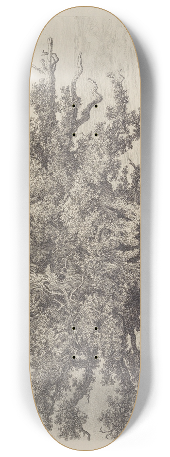 Jacob George Strutt - The Moccas-Park Oak 8.25 inch art skate deck