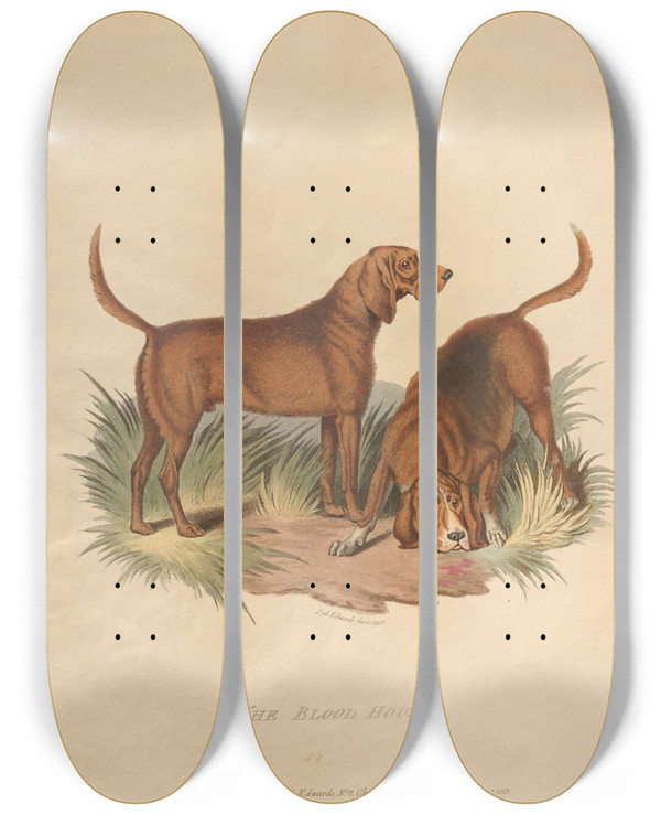 Triptych art skateboard deck of Sydenham Edwards The Blood Hound by Sydenham Edwards (1768-1819)