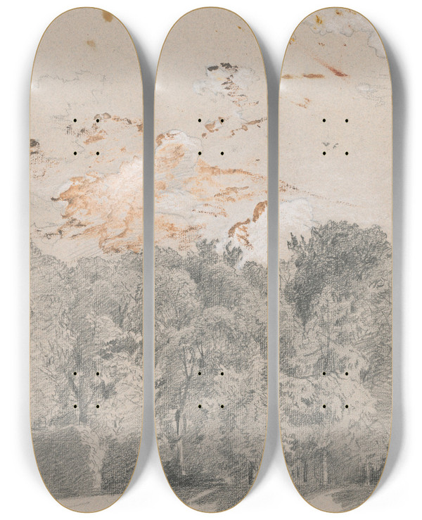 Triptych art skateboard deck of Jan Nowopack Trees Motif From Schnbrunn Park by Jan Nowopacky