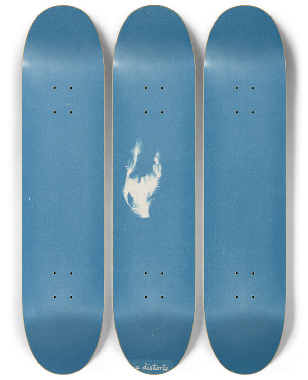 Triptych art skateboard deck of Anna Atkins Calothrix Distorta by Anna Atkins (1799-1871)