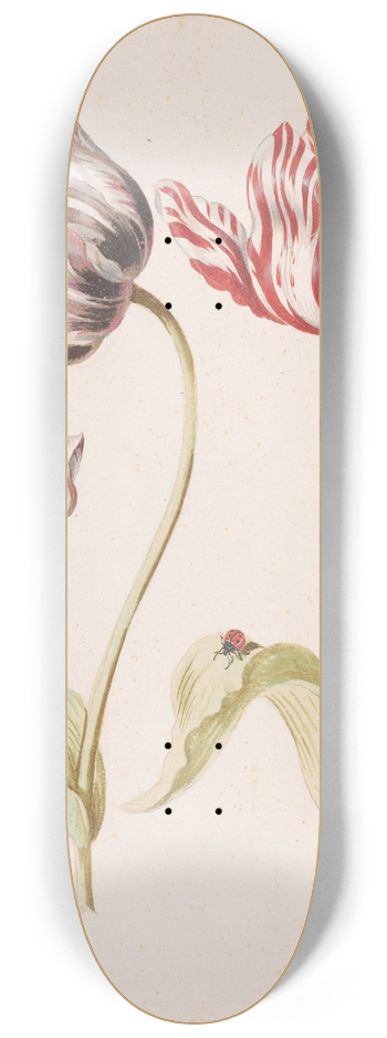 Jacob Marrel - Two Tulips with Insects 8.25 inch art skate deck