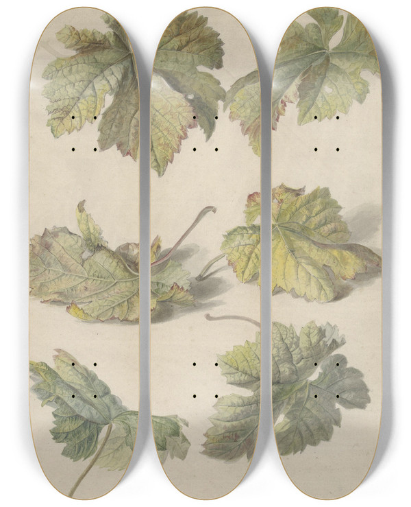 Triptych art skateboard deck of Willem Van Leen Studies Van Wingerdbladen by Willem van Leen (1753-1825)