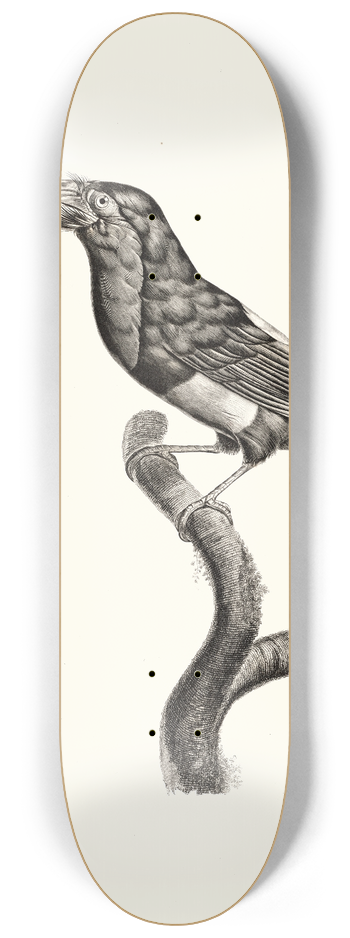 Jacques Barraband - Le Barbican. 8.25 inch art skate deck