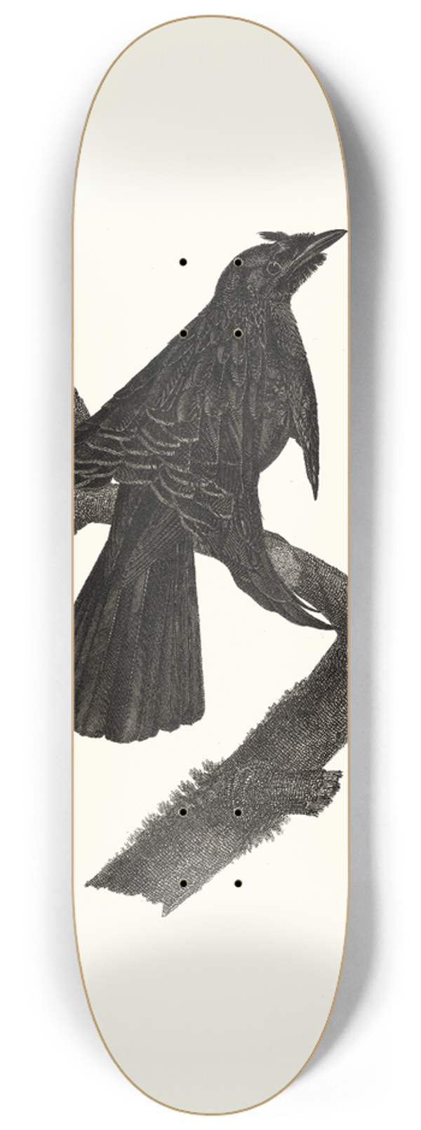 Jacques Barraband - Le Superbe talant ses parures. 8.25 inch art skate deck
