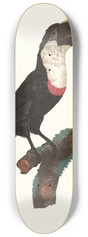 Jacques Barraband - Le Tocards. 8.25 inch art skate deck