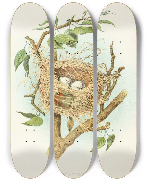 Triptych art skateboard deck of Edwin L Sheppard Orchard Oriole by Edwin L Sheppard (1904)