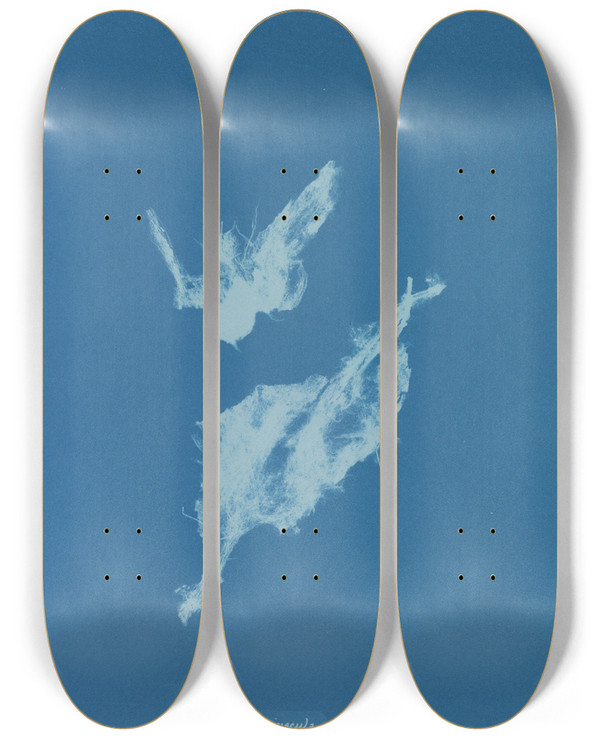 Triptych art skateboard deck of Anna Atkins Lyngbya Majuscula by Anna Atkins (1799-1871)