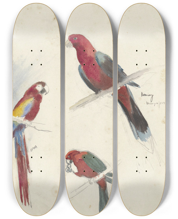 Triptych art skateboard deck of Anna Maria Kruijff Studies Van Papegaaien by Anna Maria Kruijff (1870-1946)