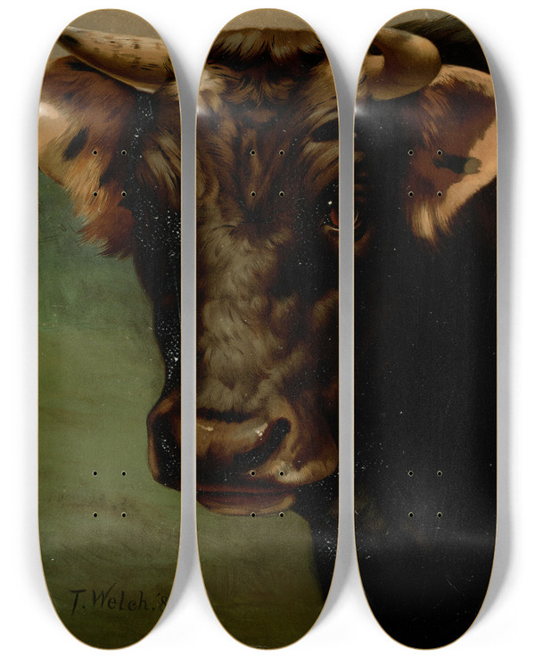 Triptych art skateboard deck of Thaddeus Welch Bulls Head by Thaddeus Welch (1844-1919)