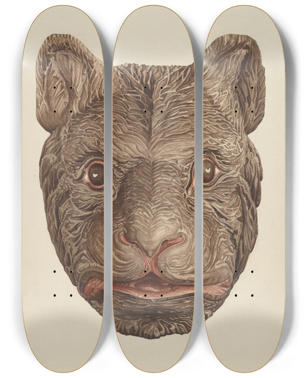 Triptych art skateboard deck of Laura Bilodeau Bears Head by Laura Bilodeau