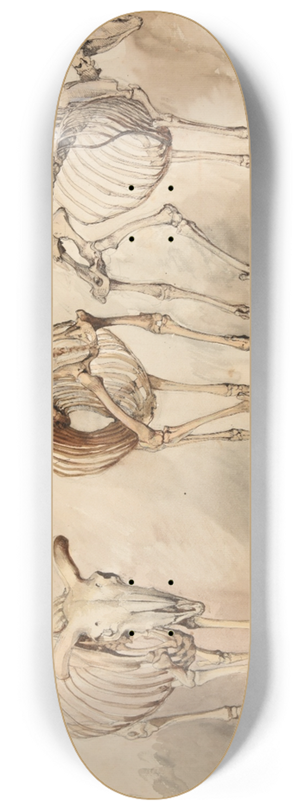 Jacques-Raymond Brascassat - Trois tudes de squelettes de moutons 8.25 inch art skate deck