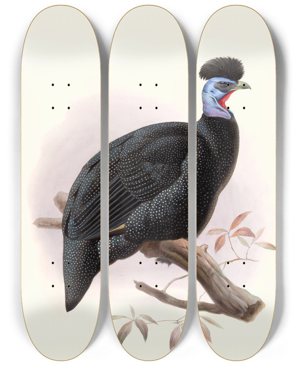 Triptych art skateboard deck of Joseph Smit Numida Pucherani by Joseph Smit (1836-1929)
