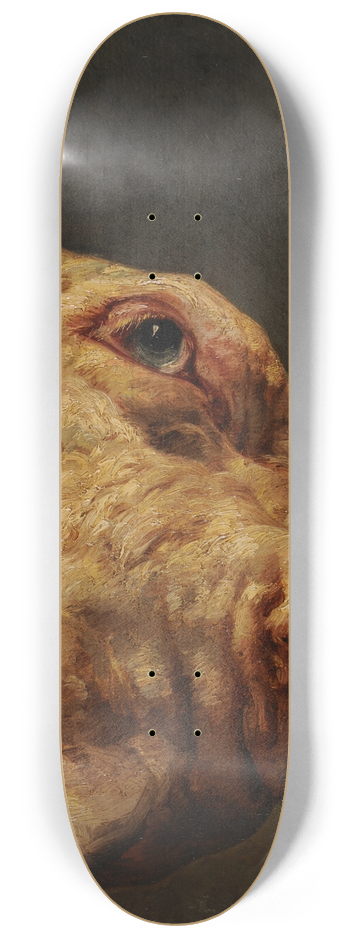 Jacques-Raymond Brascassat - Tte de taureau 8.25 inch art skate deck