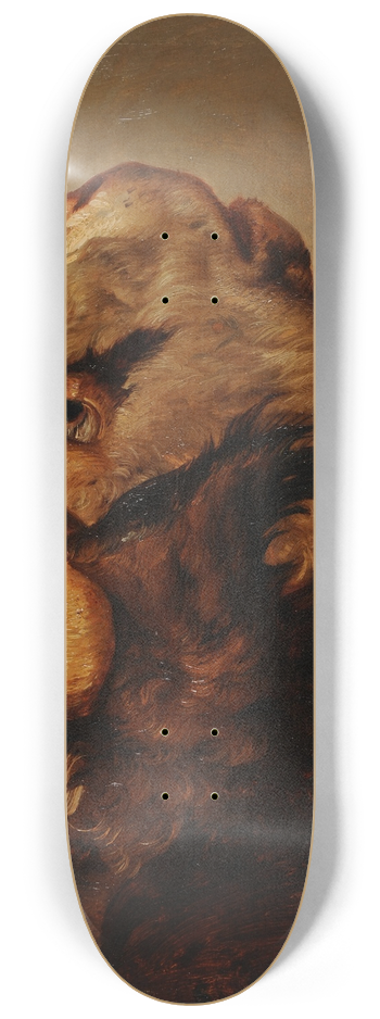 Jacques-Raymond Brascassat - Tte de vache 8.25 inch art skate deck